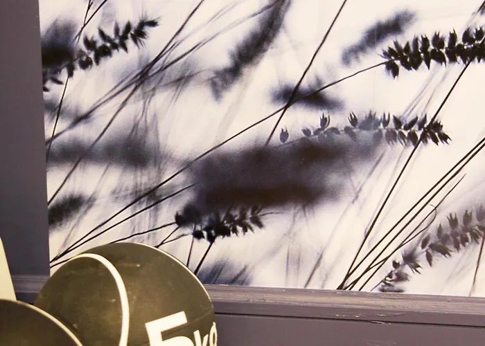 Litteraire Arthur Rimbaud, Bw Signature Collection Paris